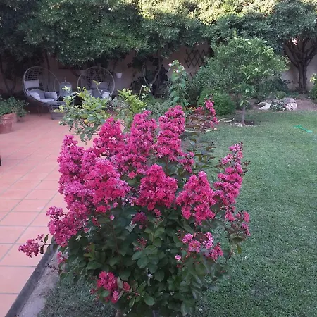 B&B Coeur De Marguerite 3*